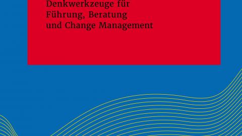 Macht in Organisationen - Denkwerkzeug für Führung, Beratung und Change Management