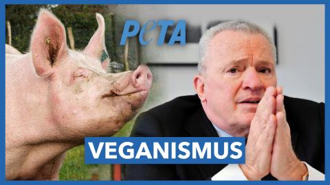 Folge 36 - Schnitzel, Schwarzwurzel oder Schaum vorm Mund? Heiße Debatte ums Vegane
